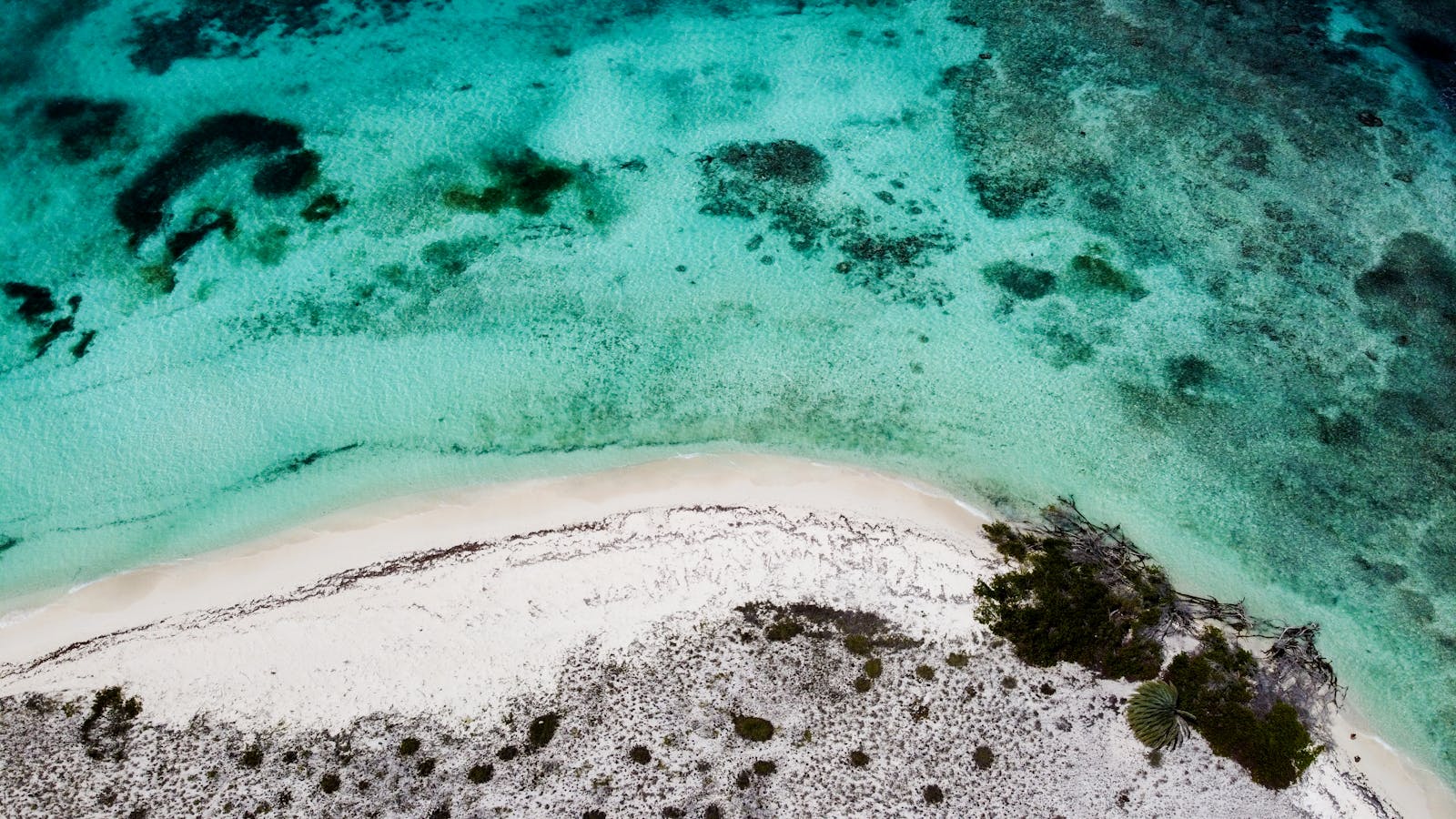 Aerial of turquoise water and white sand off Cozumel