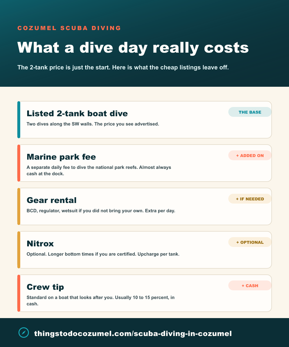 Cozumel dive day cost infographic: the listed 2-tank price plus the add-ons cheap listings leave off - marine park fee, gear rental, nitrox, and crew tip